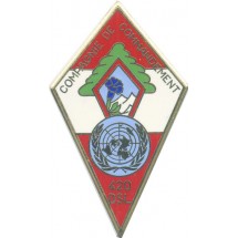 27° DIVISION ALPINE COMPAGNIE COMMANDEMENT 420° DSL LIBAN