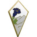 27° DIVISION INFANTERIE ALPINE