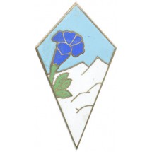 27° DIVISION INFANTERIE ALPINE