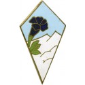 27° DIVISION INFANTERIE ALPINE