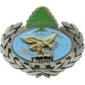 27° DIVISION ALPINE TRANSPORT ONU LIBAN