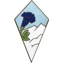 27° DIVISION INFANTERIE ALPINE