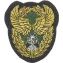 13° RDP BREVET OPER