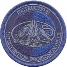 INSTRUCTEUR INTERVENTION PROFESSIONNELLE