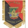 17° RGP COMPAGNIE D'APPUI