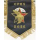 CPES DGSE