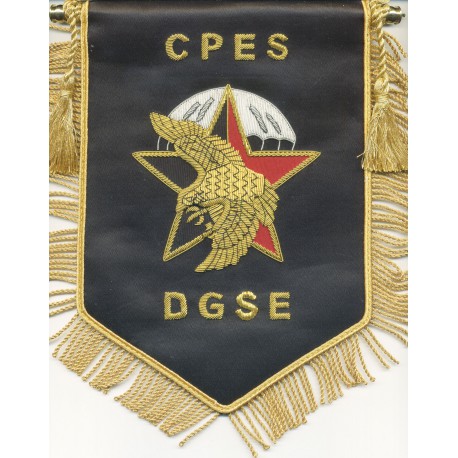 CPES DGSE