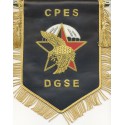 CPES DGSE