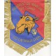 REGIMENT DE MARCHE DU TCHAD LES CCH