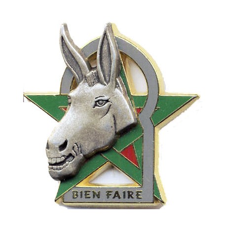 31° REGIMENT DU GENIE CAS