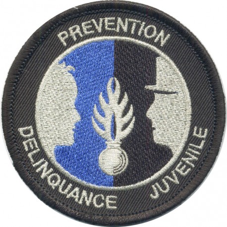 PREVENTION DELINQUANCE JUVENILE