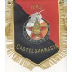 31° REGIMENT DU GENIE 971° COMPAGNIE