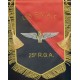 25° REGIMENT DU GENIE DE L'AIR