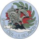 9° RCP CEA LA REUNION 84