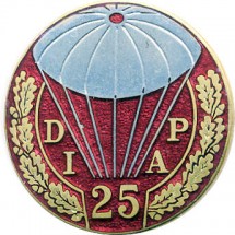 25° DIVISION D'INFANTERIE AEROPORTEE