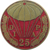 25° DIVISION D'INFANTERIE AEROPORTEE