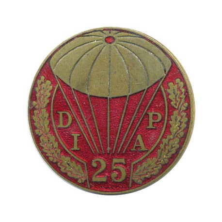 25° DIVISION D'INFANTERIE AEROPORTEE