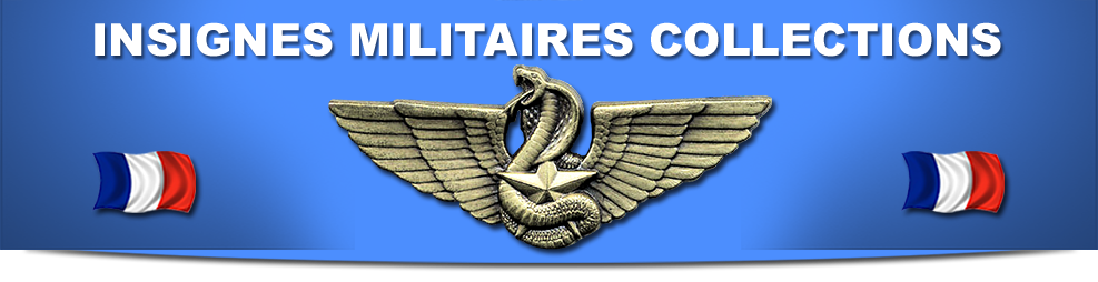 insignes militaires collections